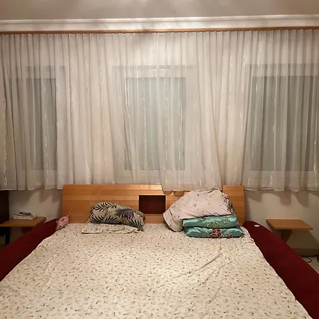 Villa 列支敦士登城堡下的别墅删删